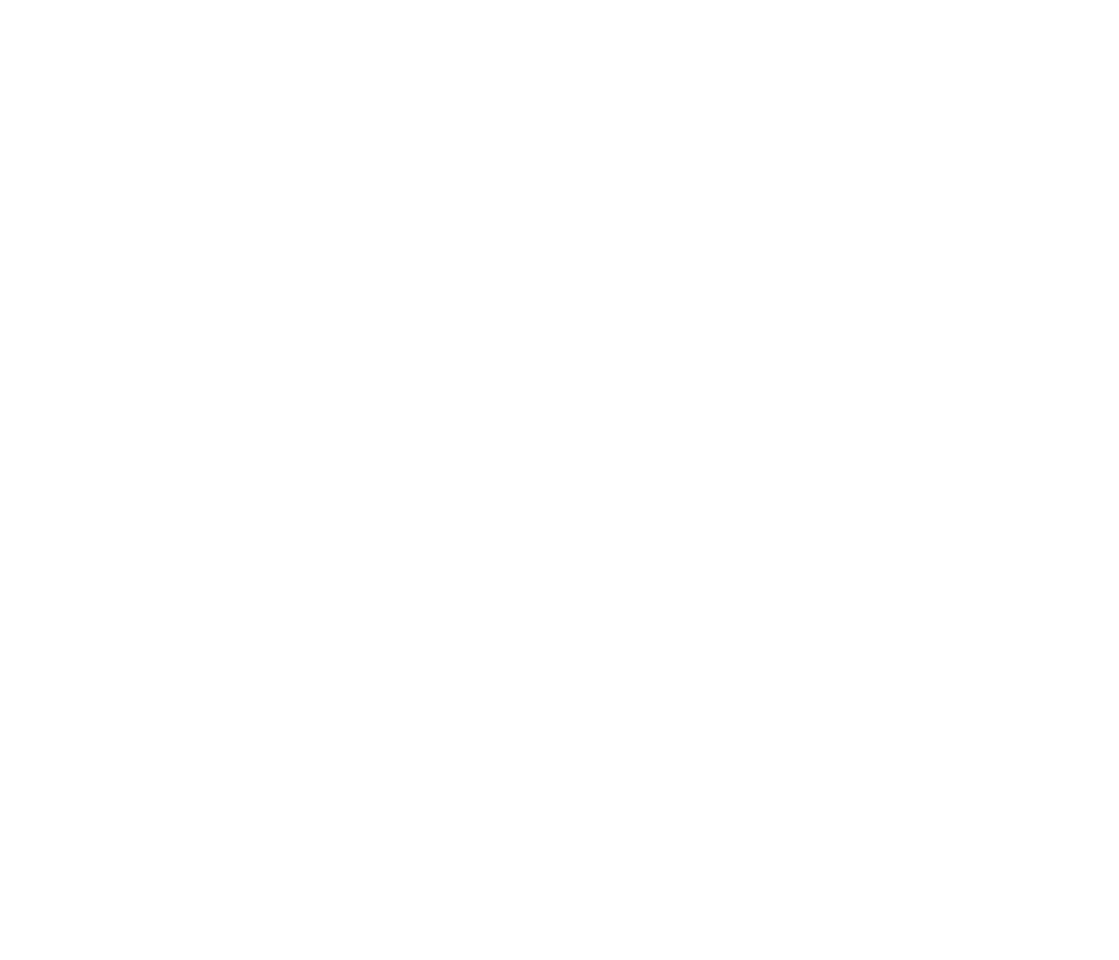 Relic Soaps